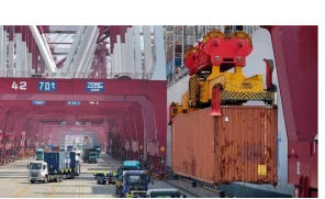China-Australia Full Container Load FCL Shipping suppliers