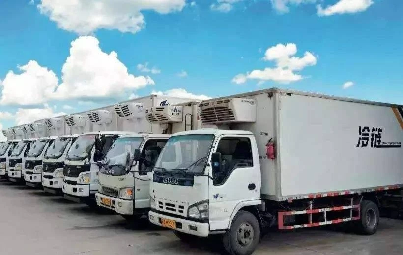 China UK Food Transportation best