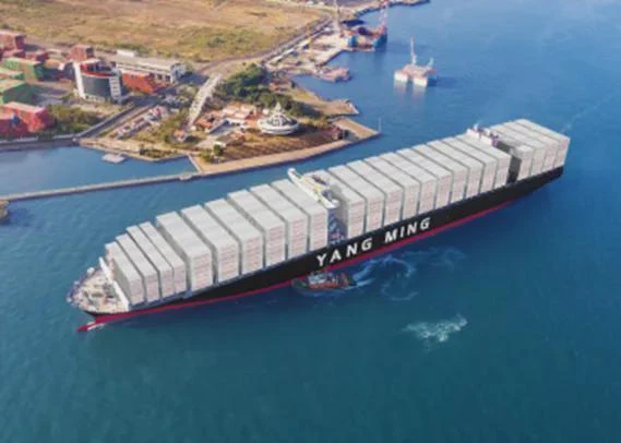 China-US LCL Shipping suppliers
